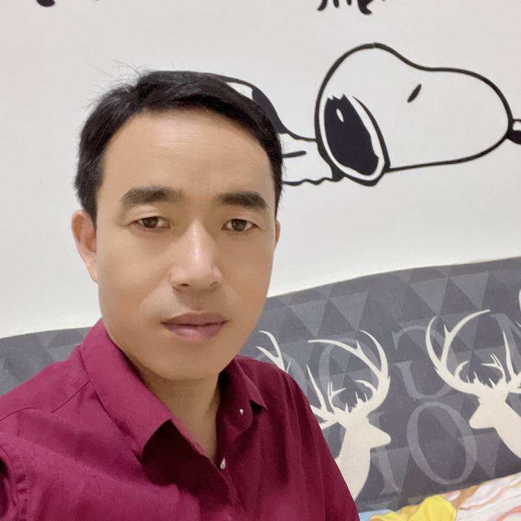 隐忍爱恋斑马的照片