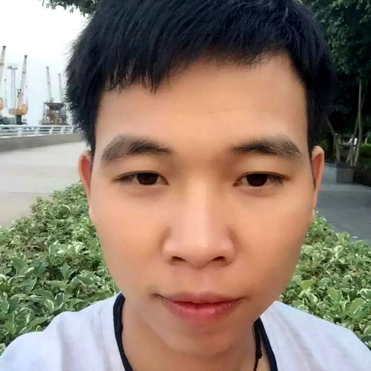 机智漫步板栗的照片
