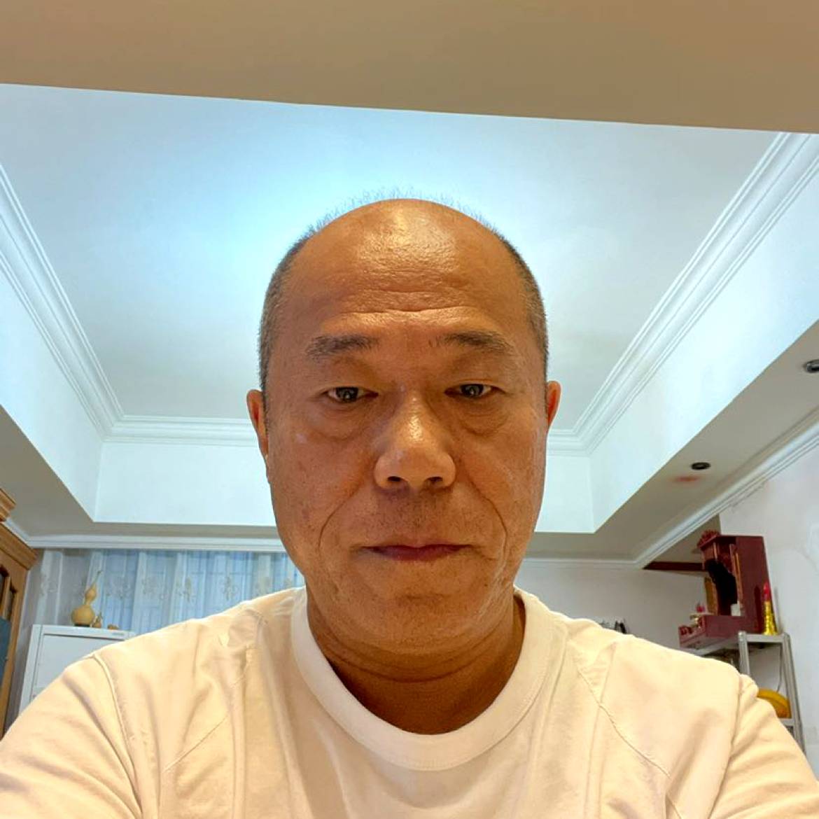 呆萌说老虎的照片