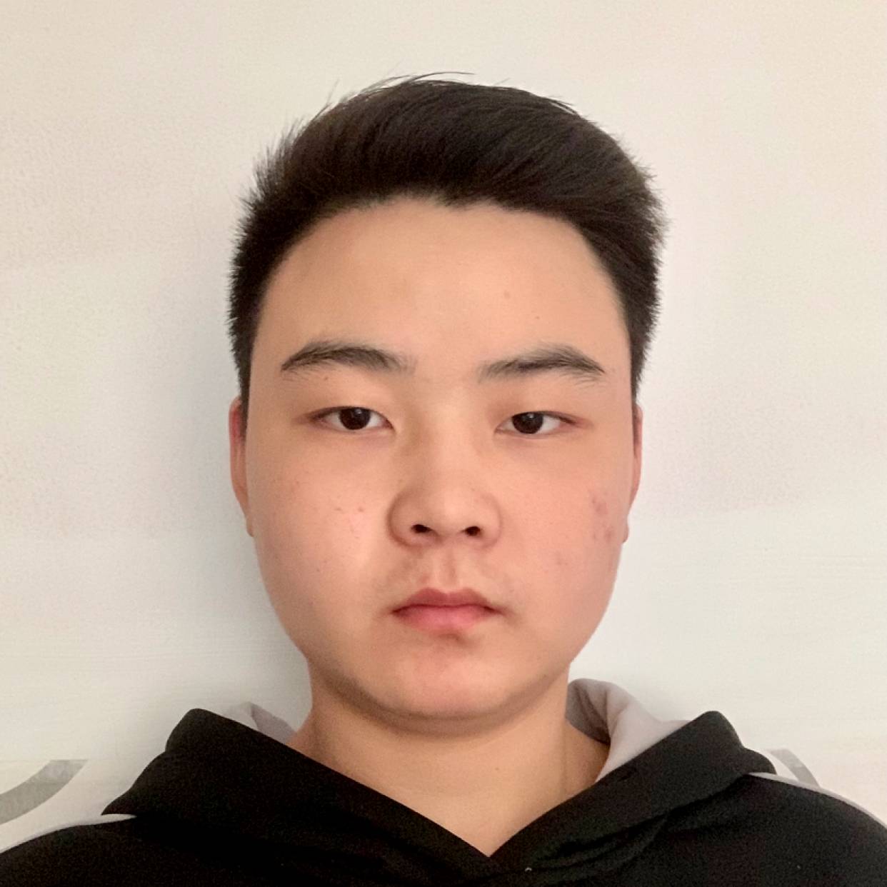 西北孤傲的狼的照片