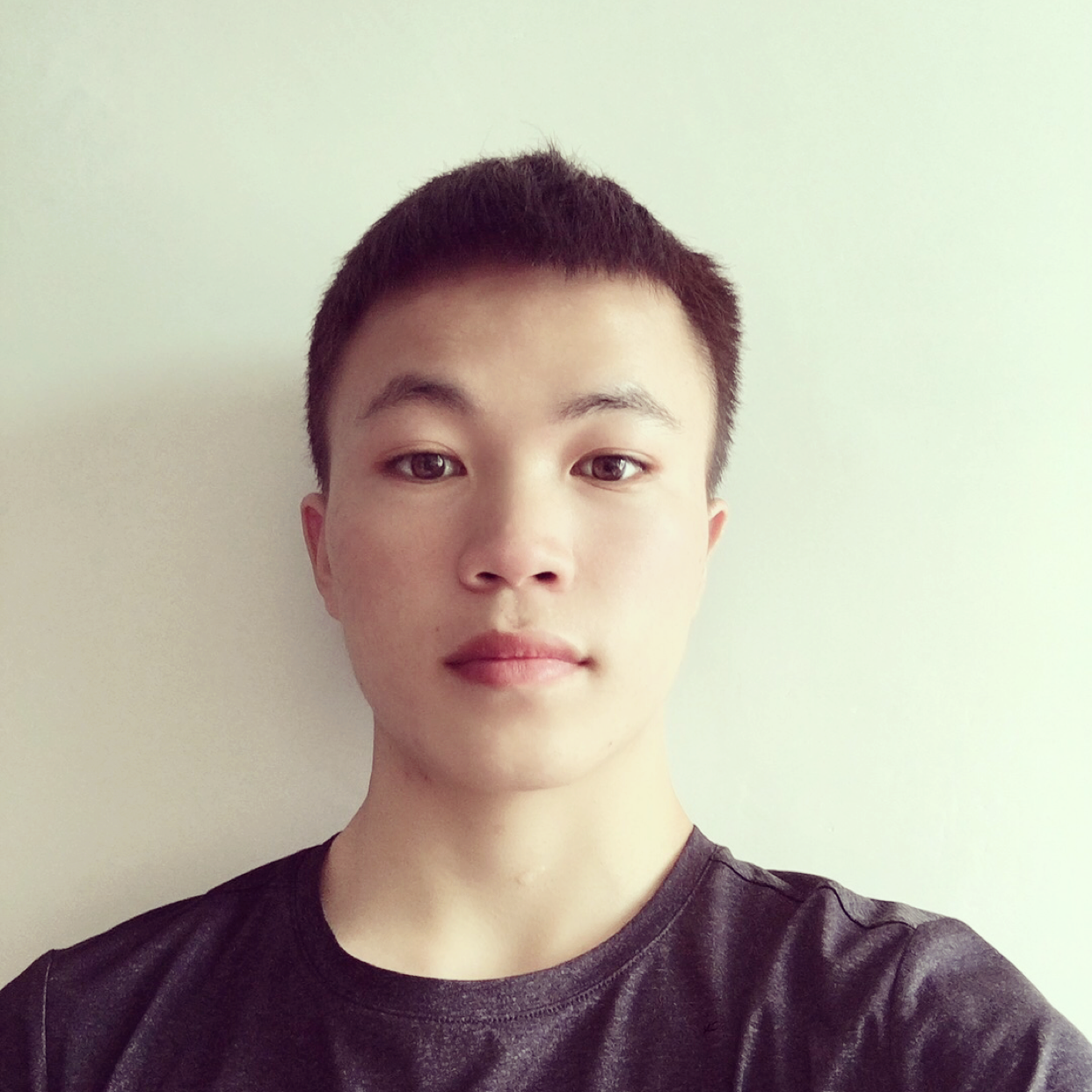 毛豆传统的照片