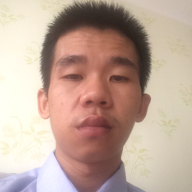 小猫咪单纯的照片