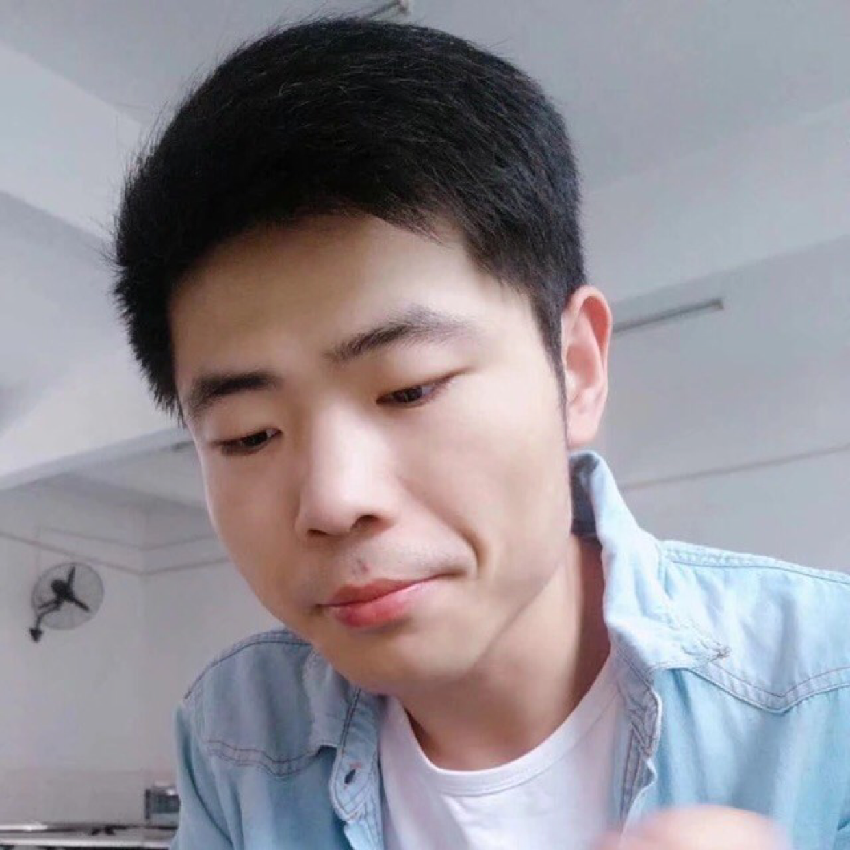 安定下来的照片
