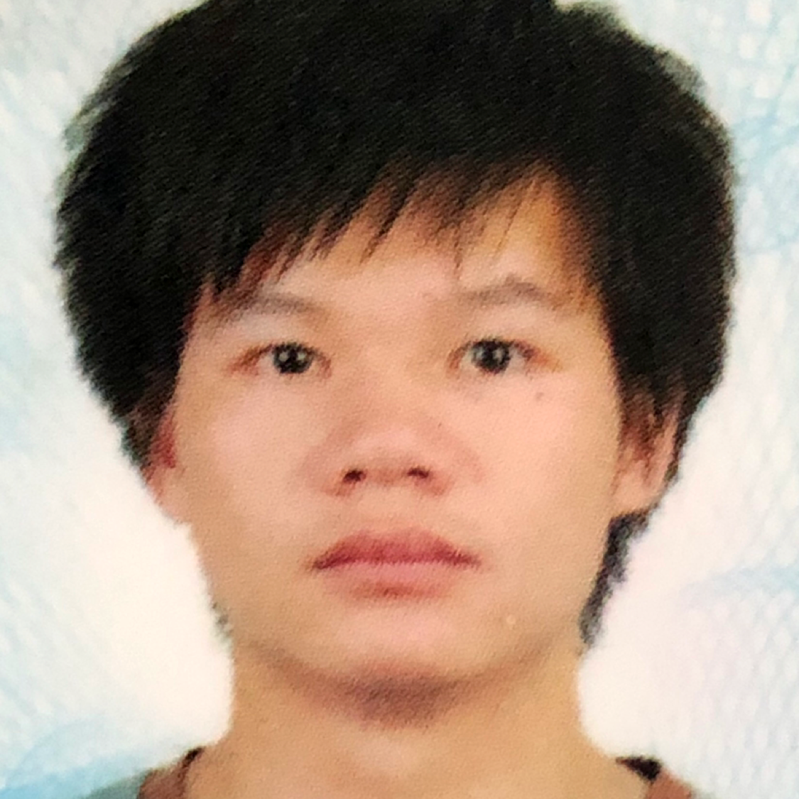 寂冷蹙眉蚂蚁的照片
