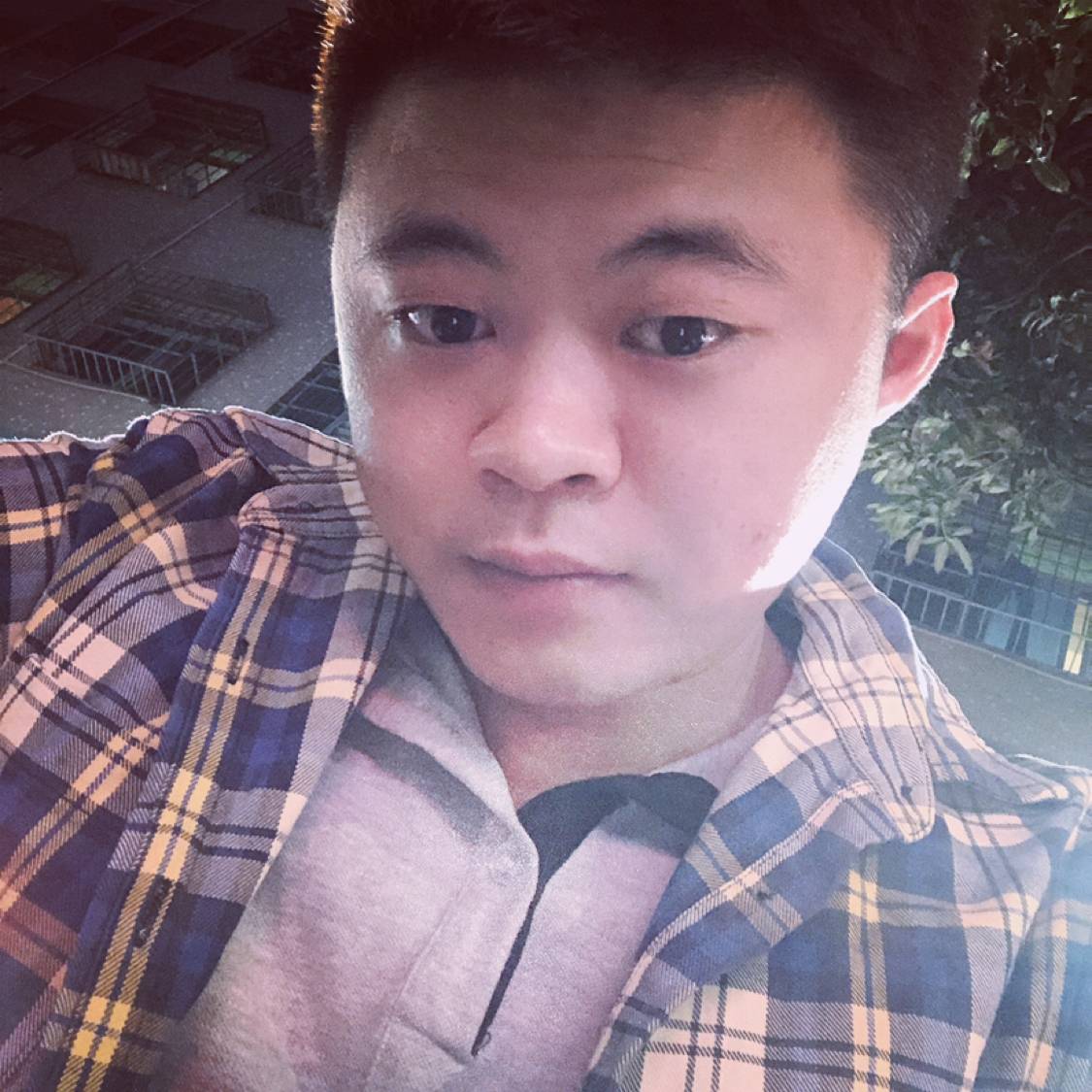 酱镇的照片