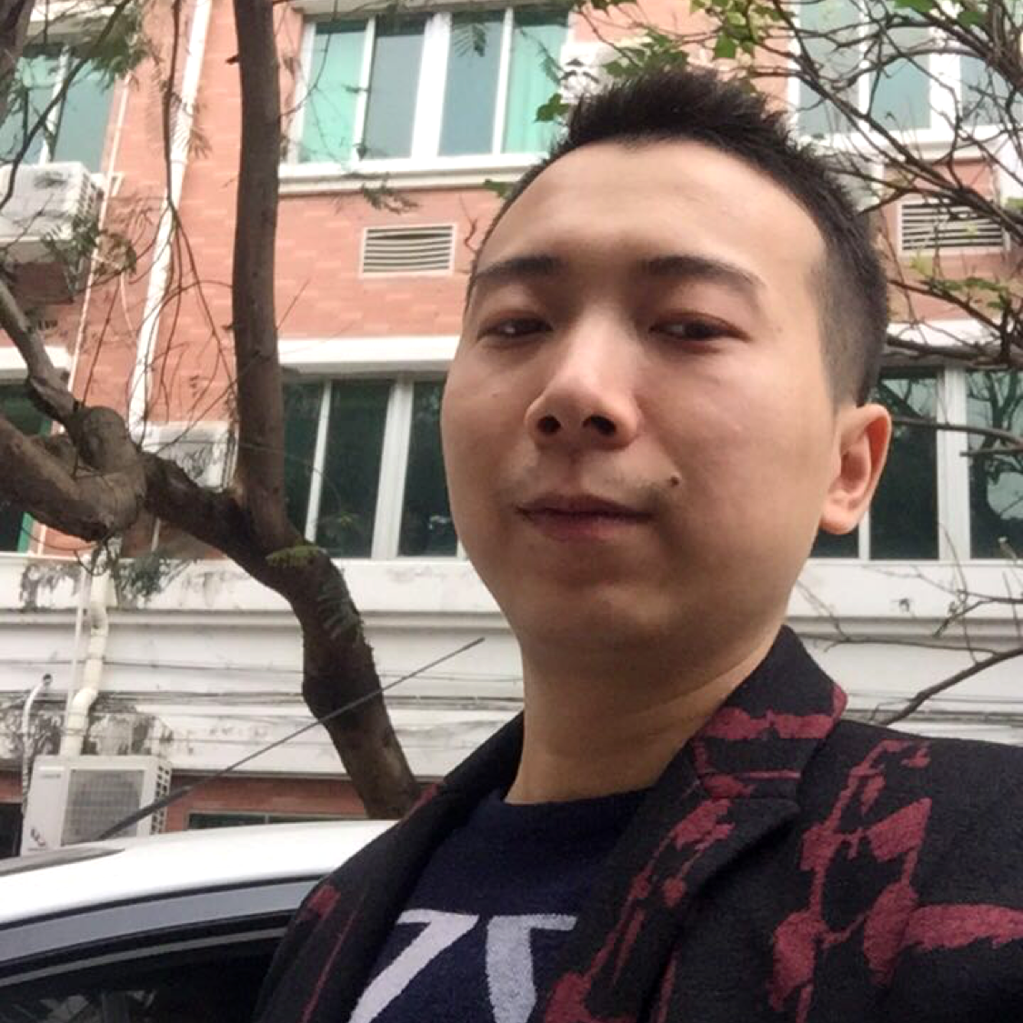 忧郁演变玫瑰的照片