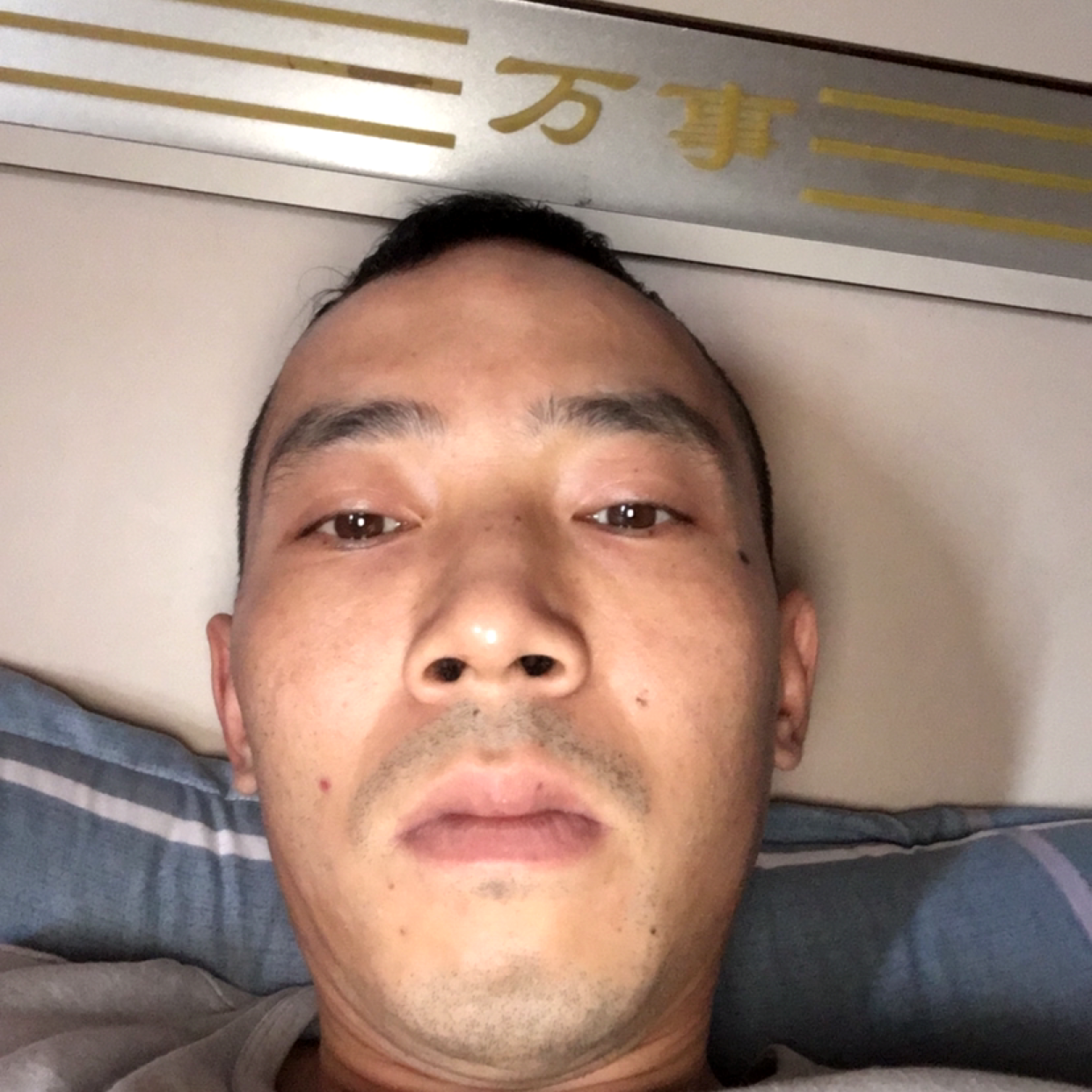 半夏浅吻想人陪的照片