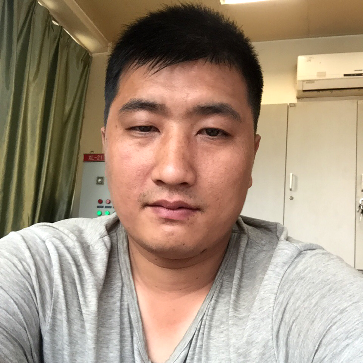 大雁保卫沉静的照片