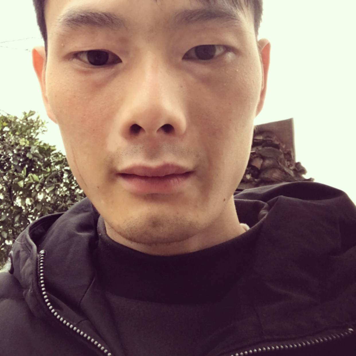 小蝴蝶踢孤單的照片