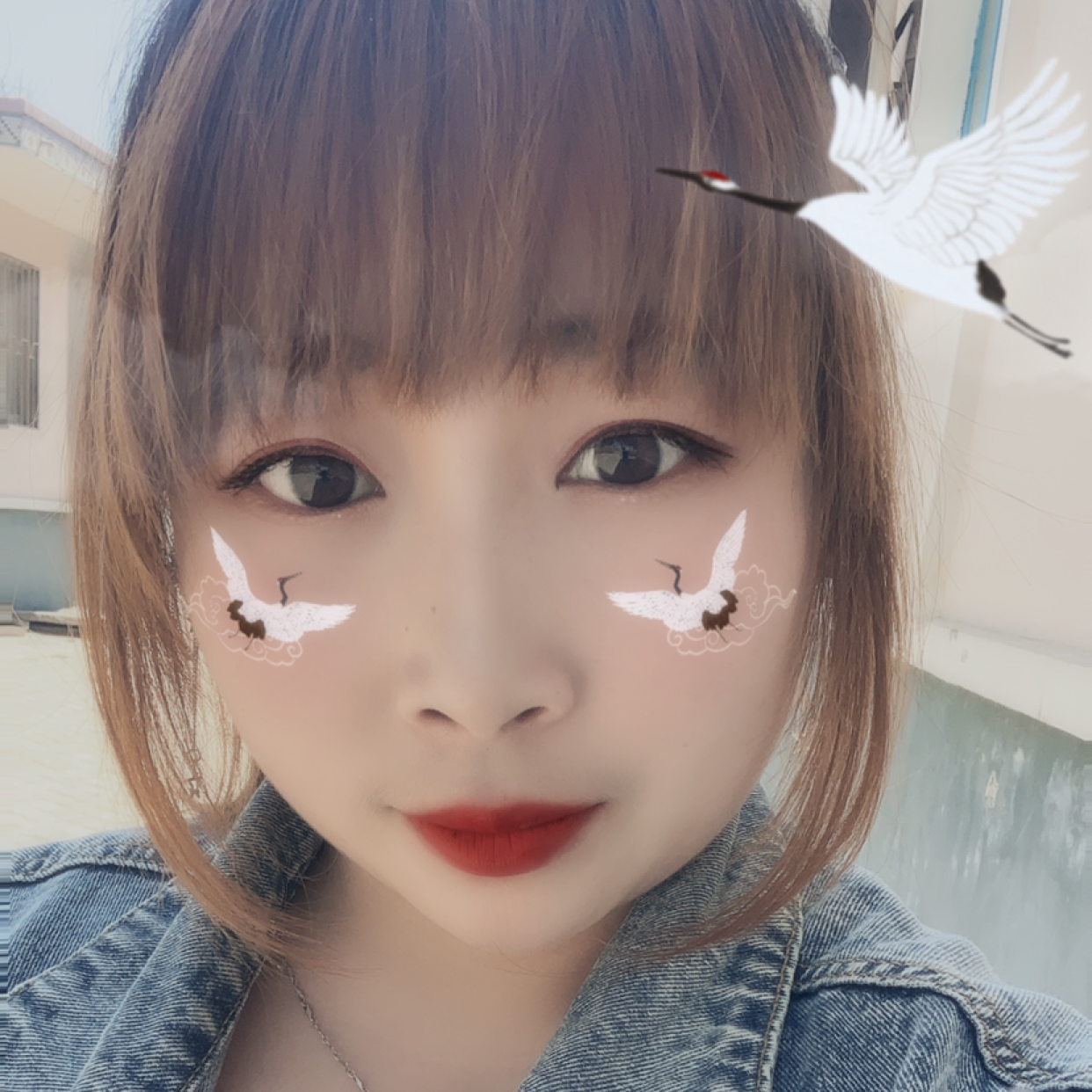 梦影泪了错落的照片