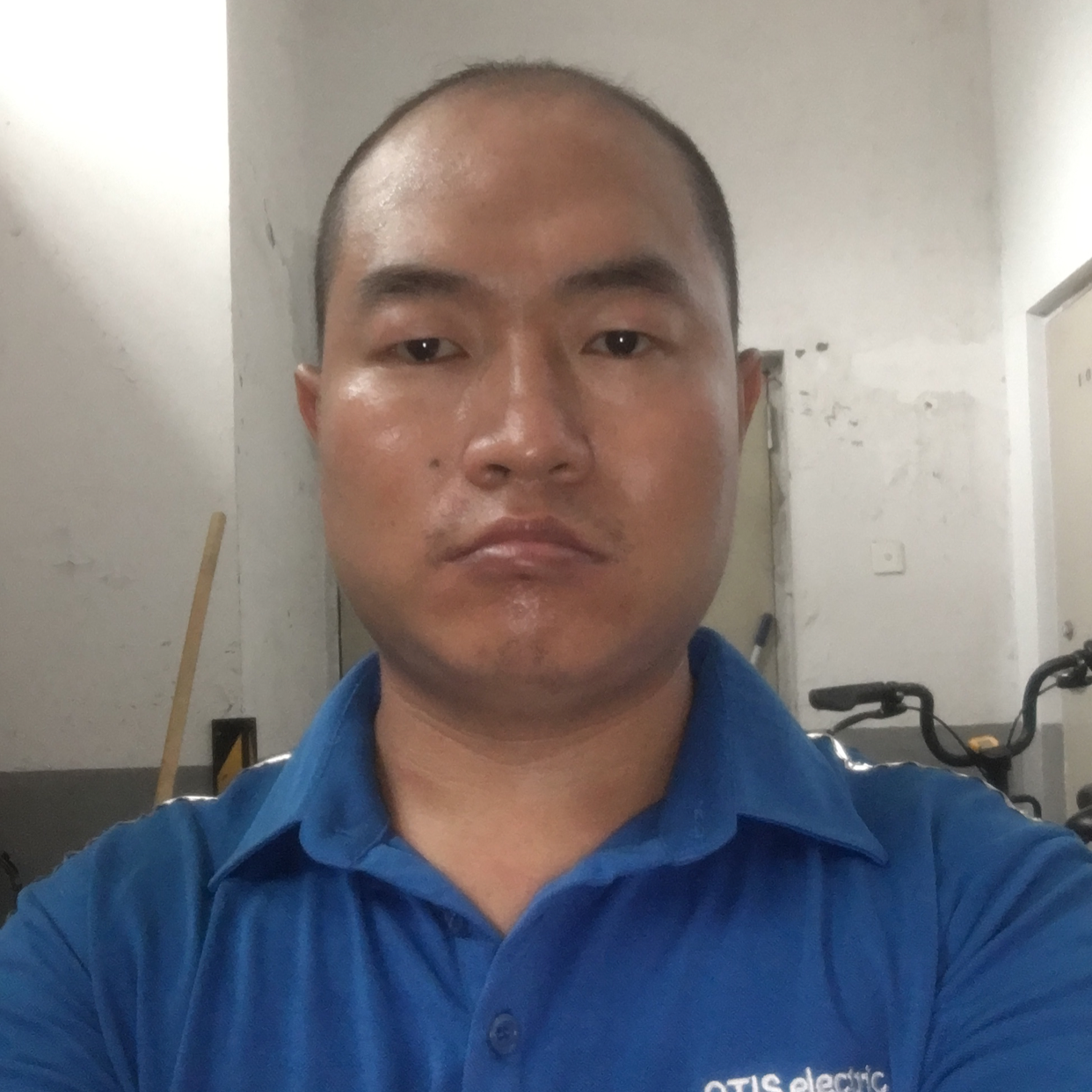 长情請刺猬的照片