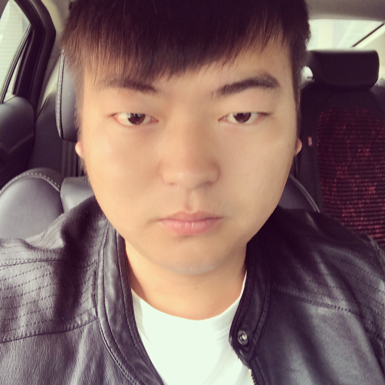 飘逸仙人掌的照片