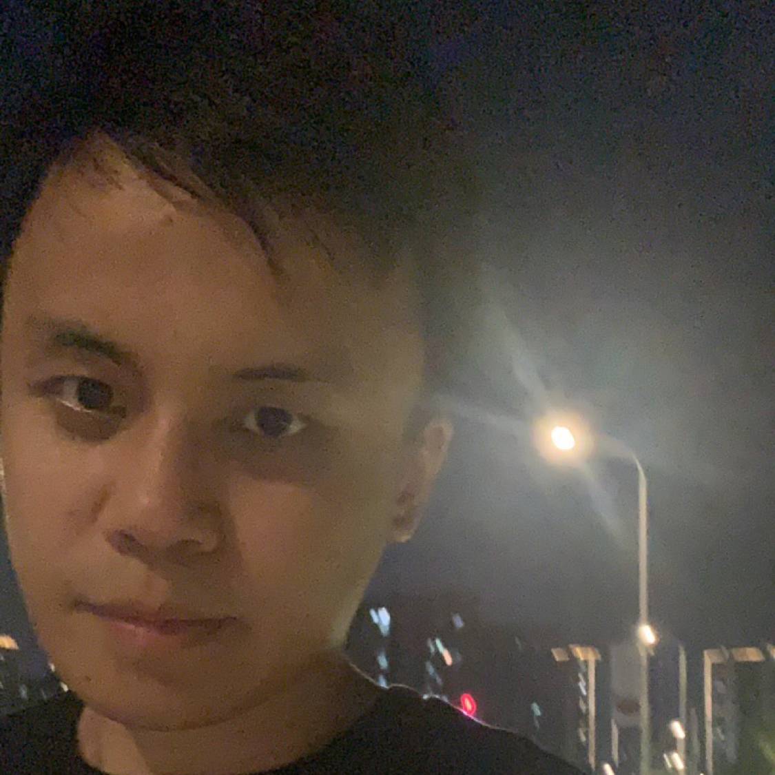 怪树树的照片