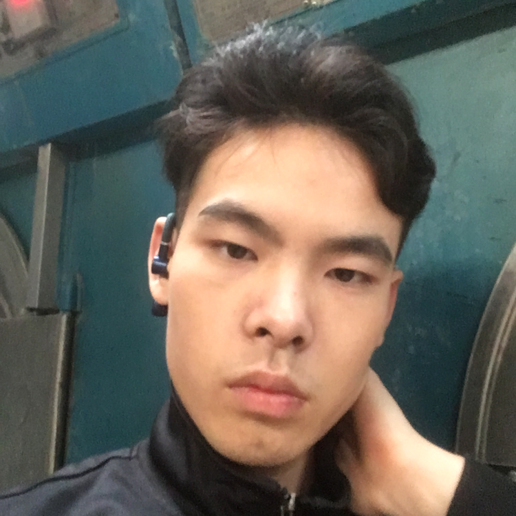 冷酷就仙人掌的照片
