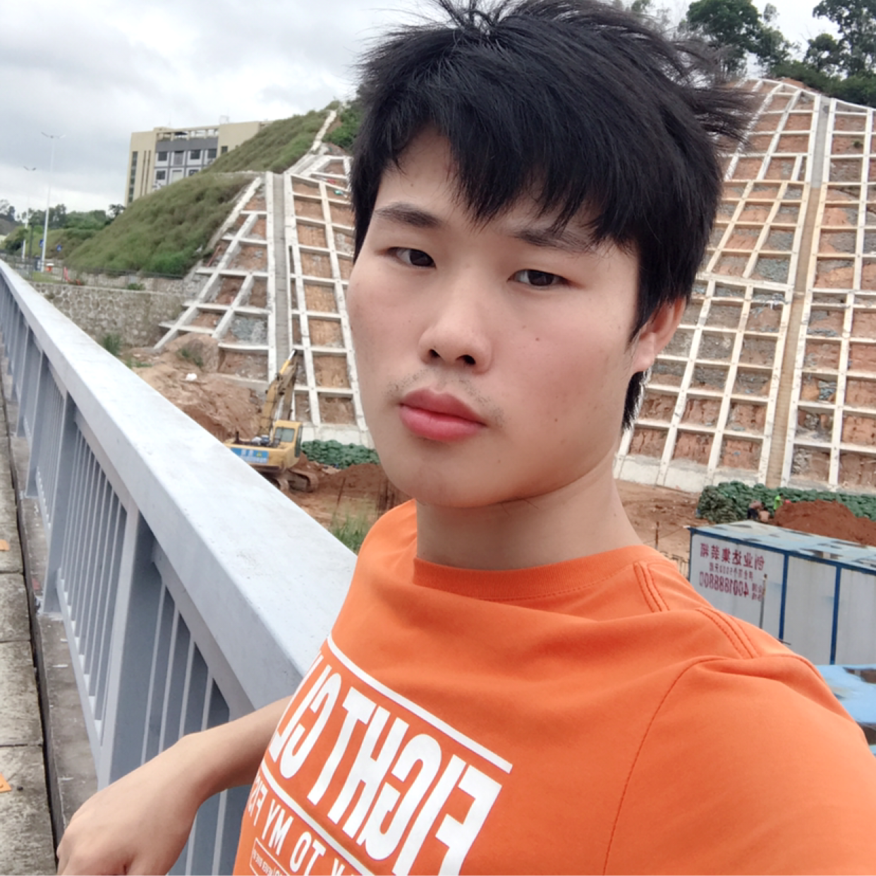 银河九命猫的照片