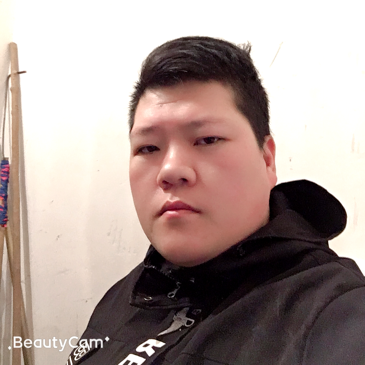 健忘保卫仙人掌的照片