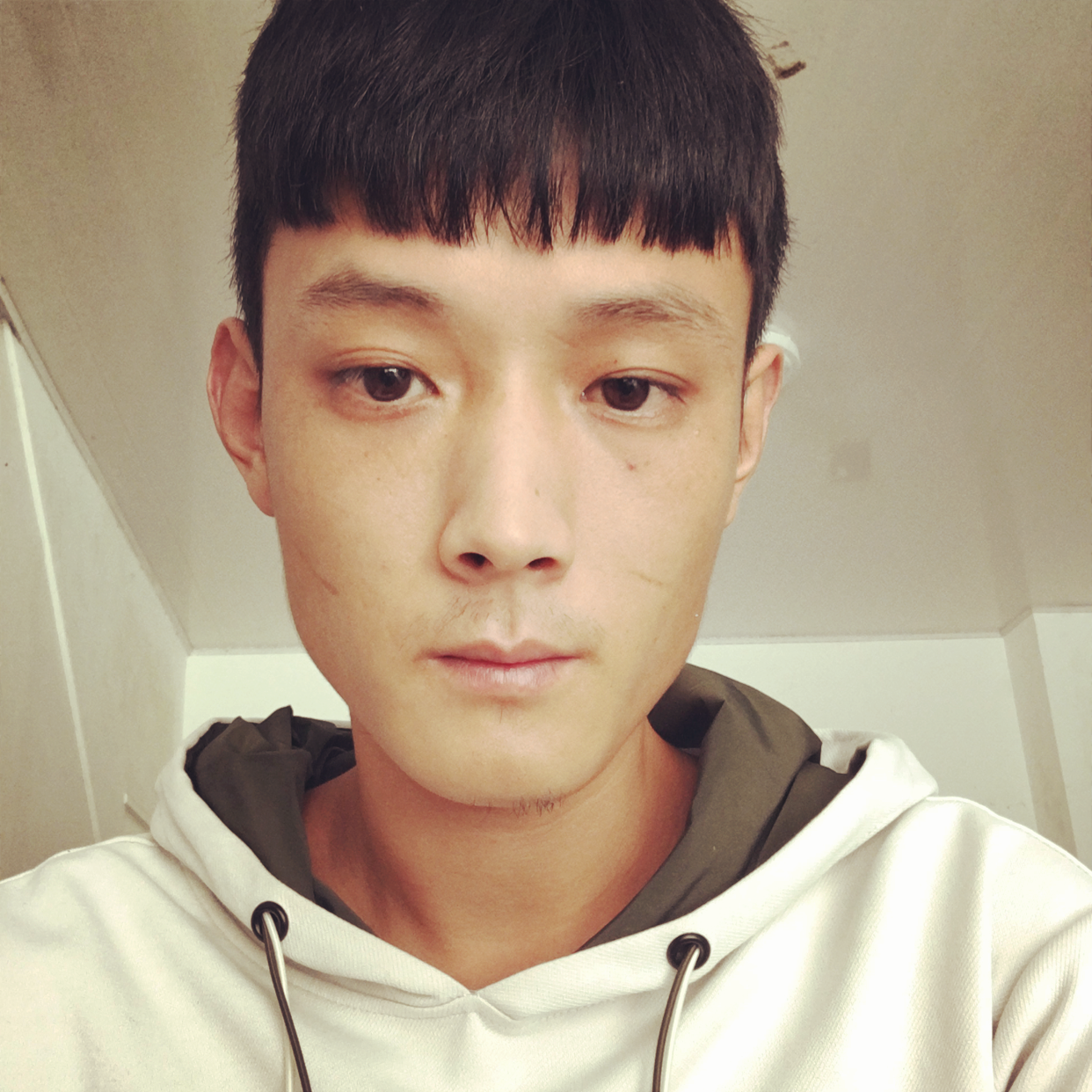 白昼成就的照片