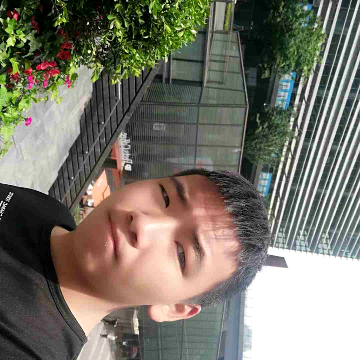 跳跳糖停止可爱的照片