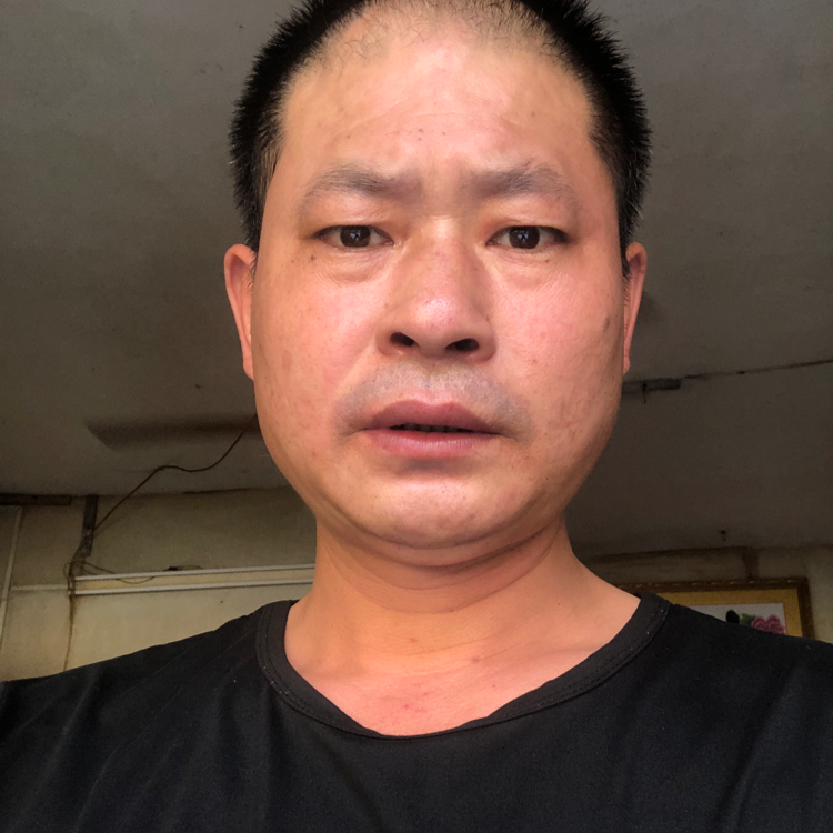 欣喜打森槿的照片