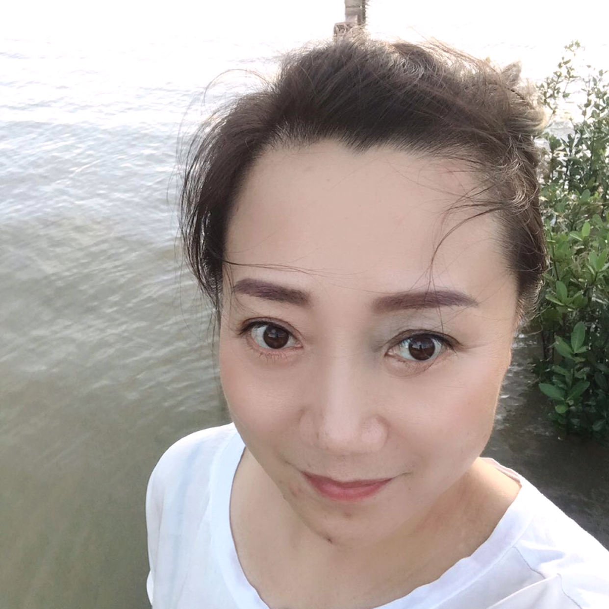 傲如梅，淡如菊的照片