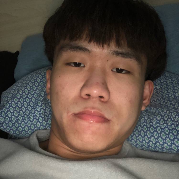 忧郁爱玫瑰的照片