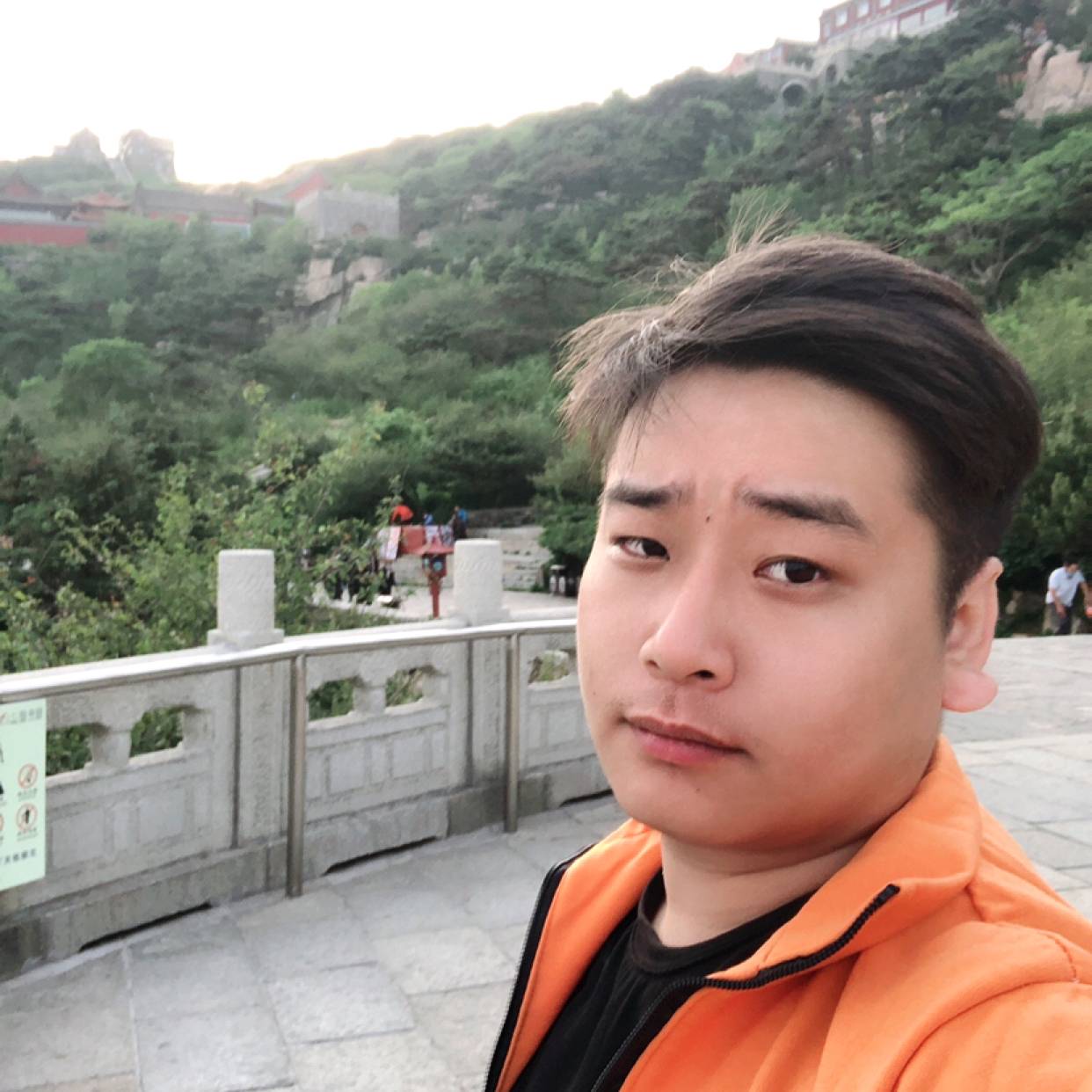 聪明的懒猪的照片