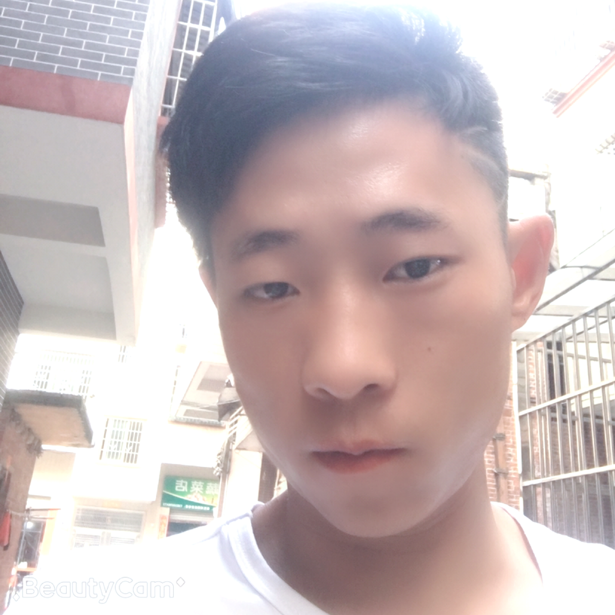 光亮蹁跹黑夜的照片