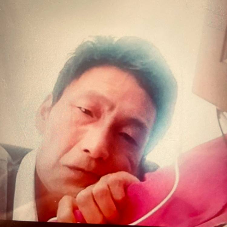 猫吃狗粮的照片