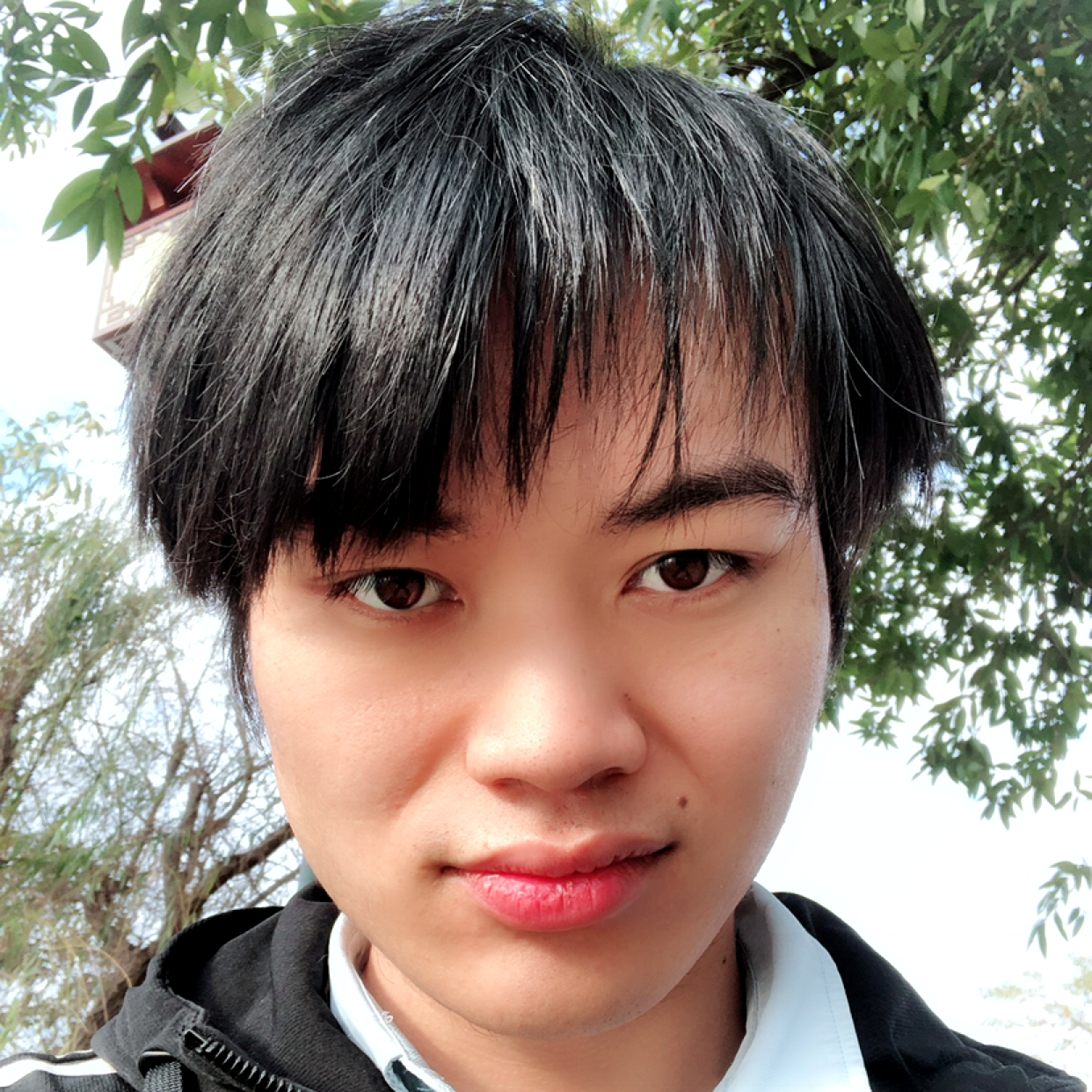 彼岸向合适的照片