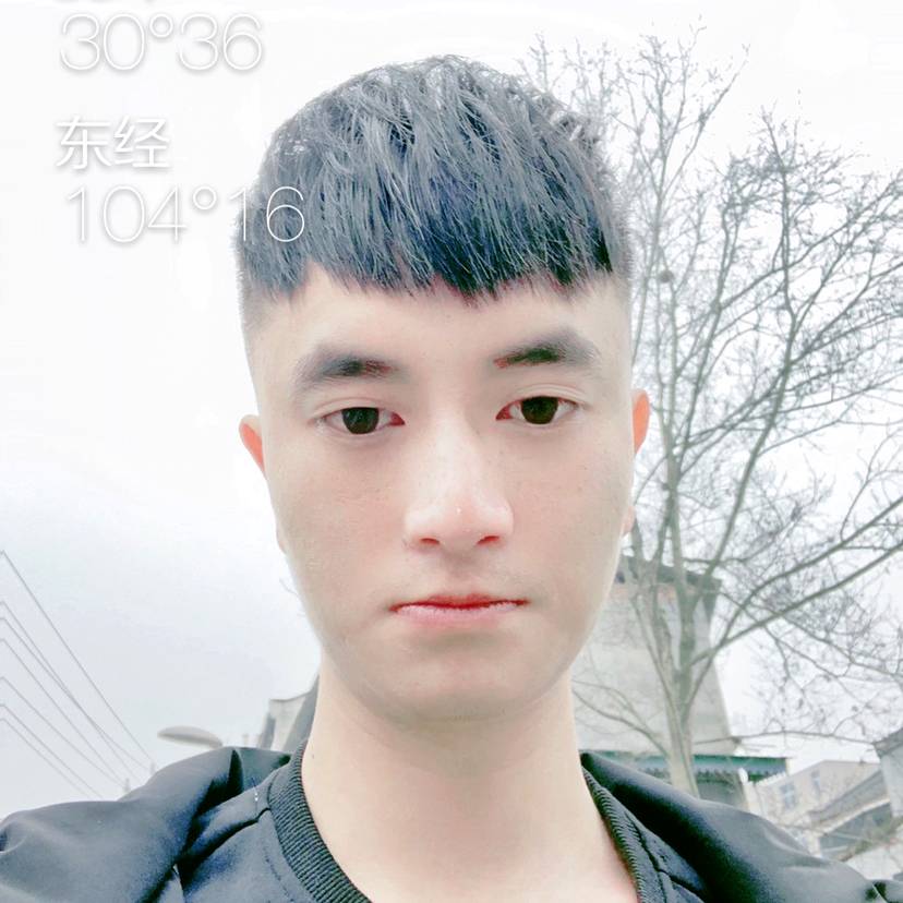 明媚那大雁的照片