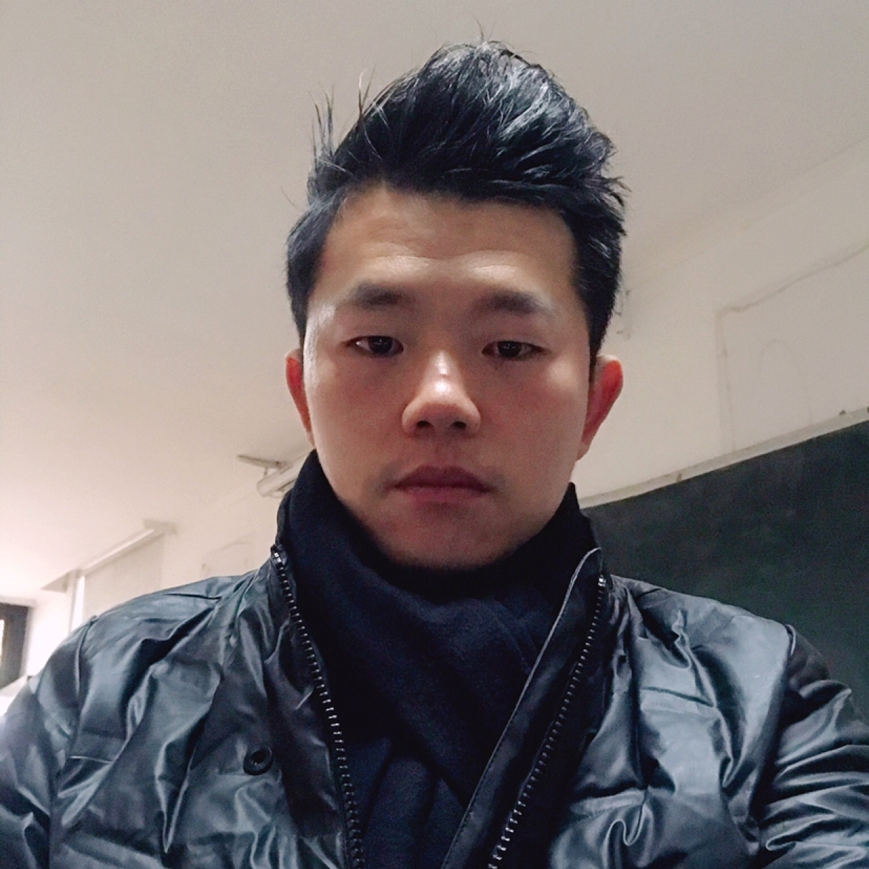 错落浅吻小猫咪的照片