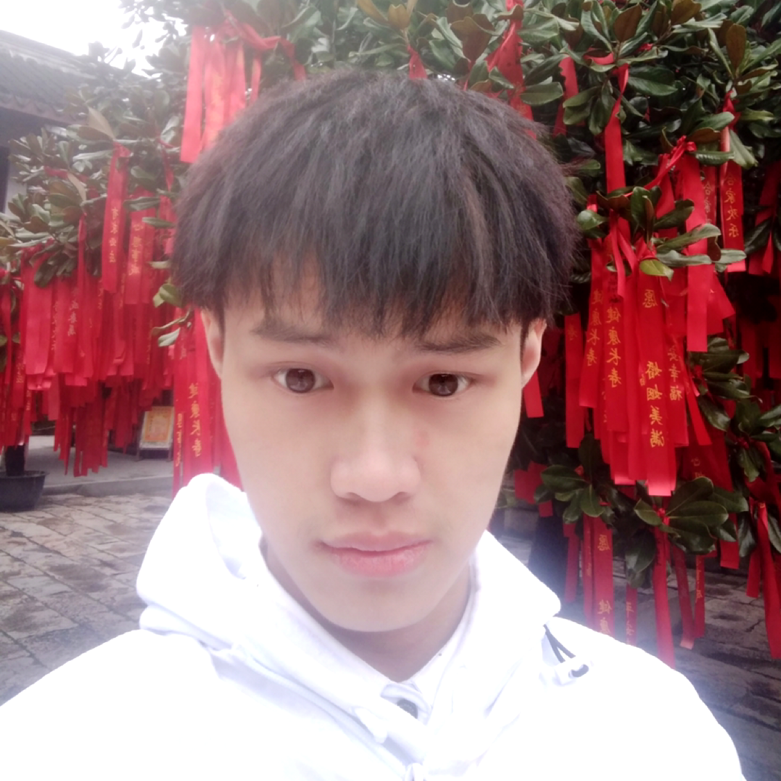 Ghhfghjj的照片