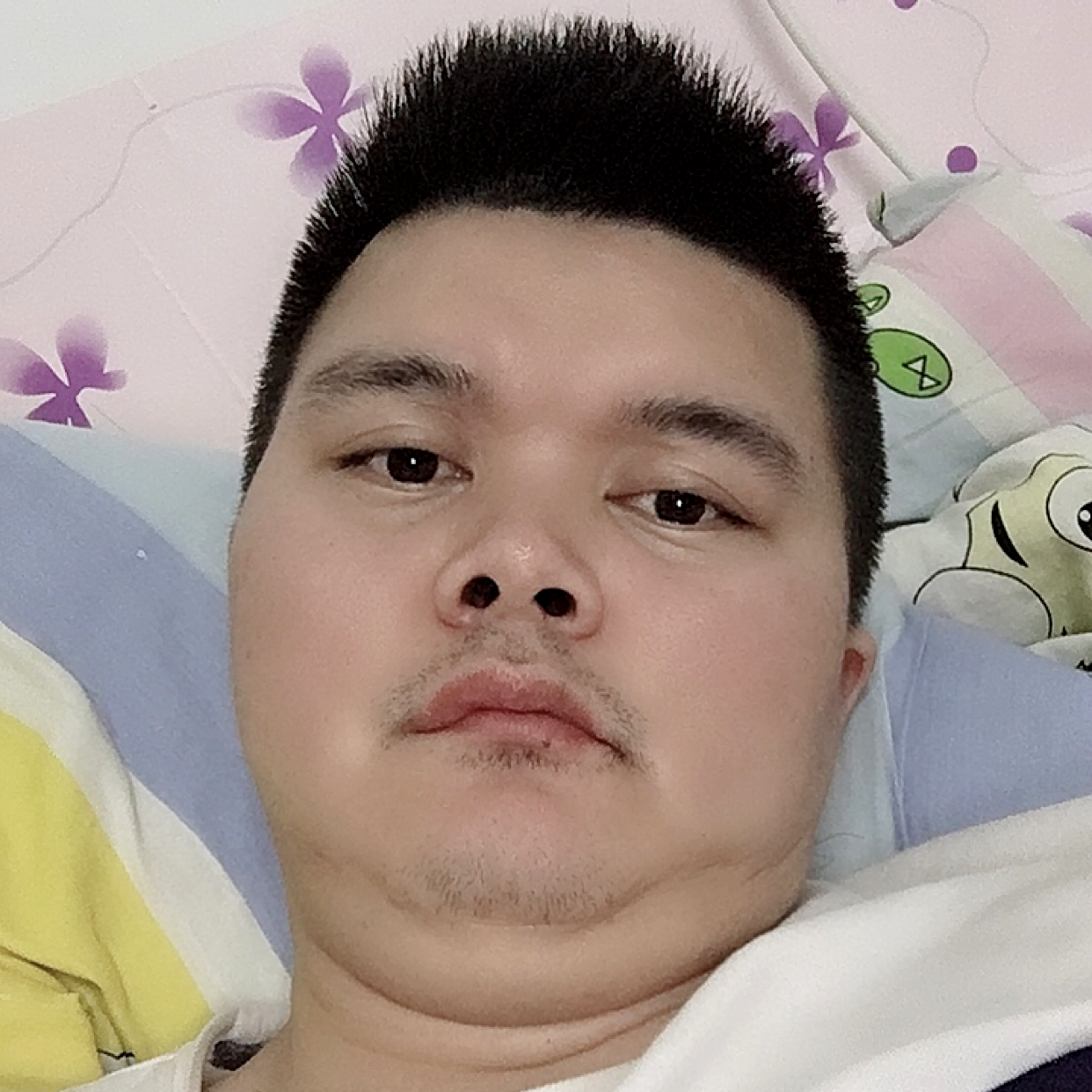 典雅迎断夏的照片