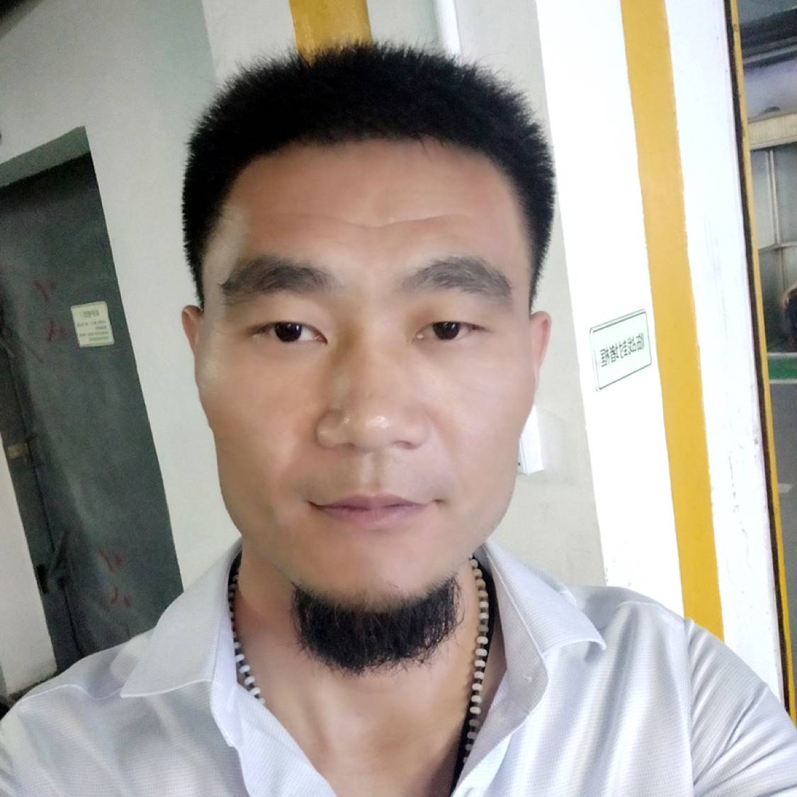 北方的的照片