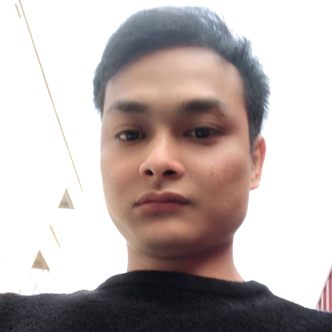 辛勤凝眸树叶的照片