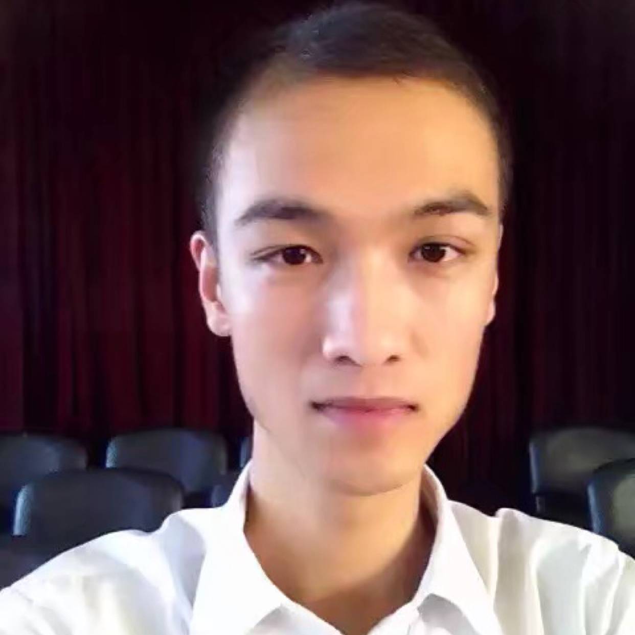 活力浅吻翅膀的照片