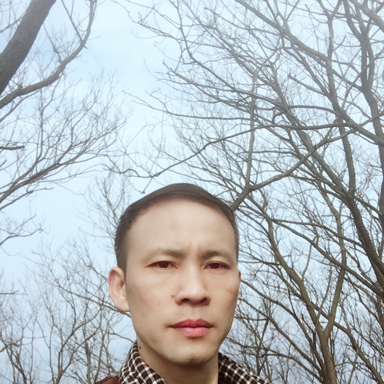 明理凉城林的照片