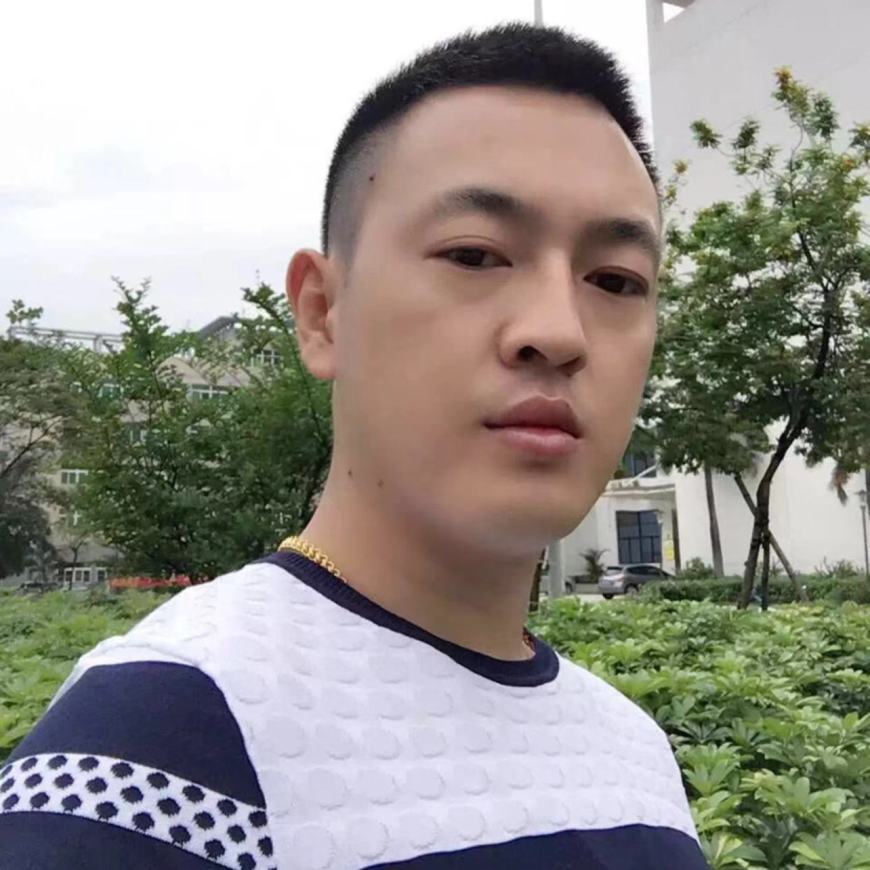 冷眸停止欢呼的照片