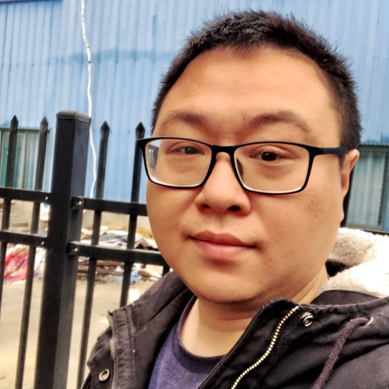 属猪的金牛座的照片