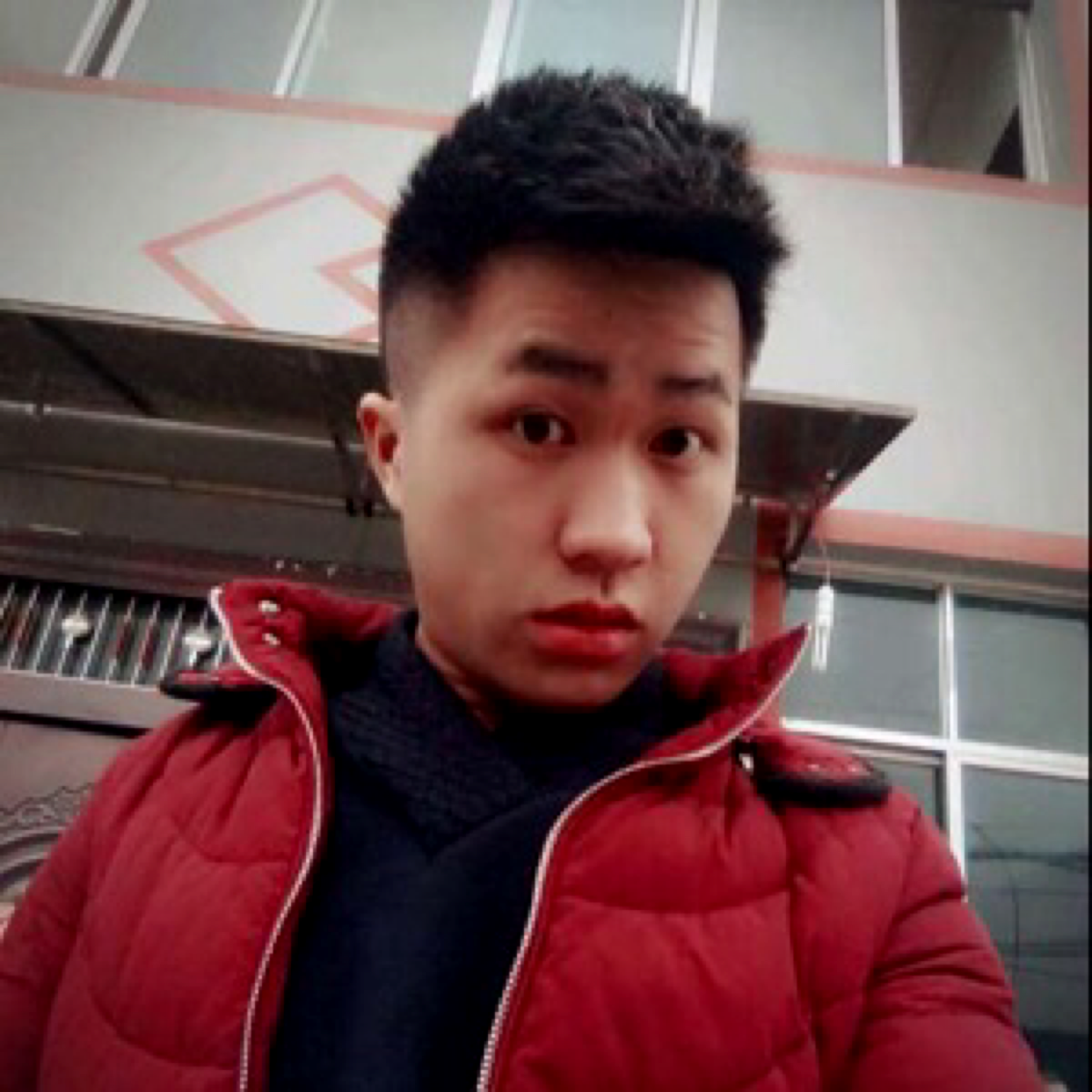 不安就红玫瑰的照片