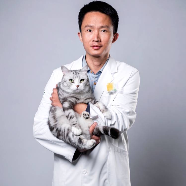 邱秋爱宠医的照片