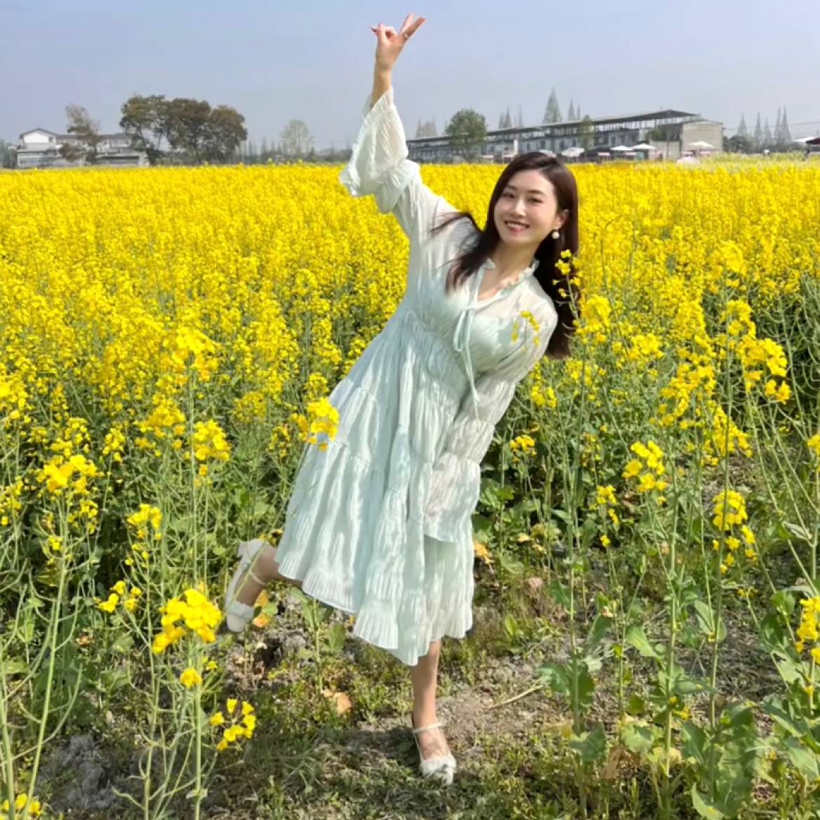 绿野风烟的照片