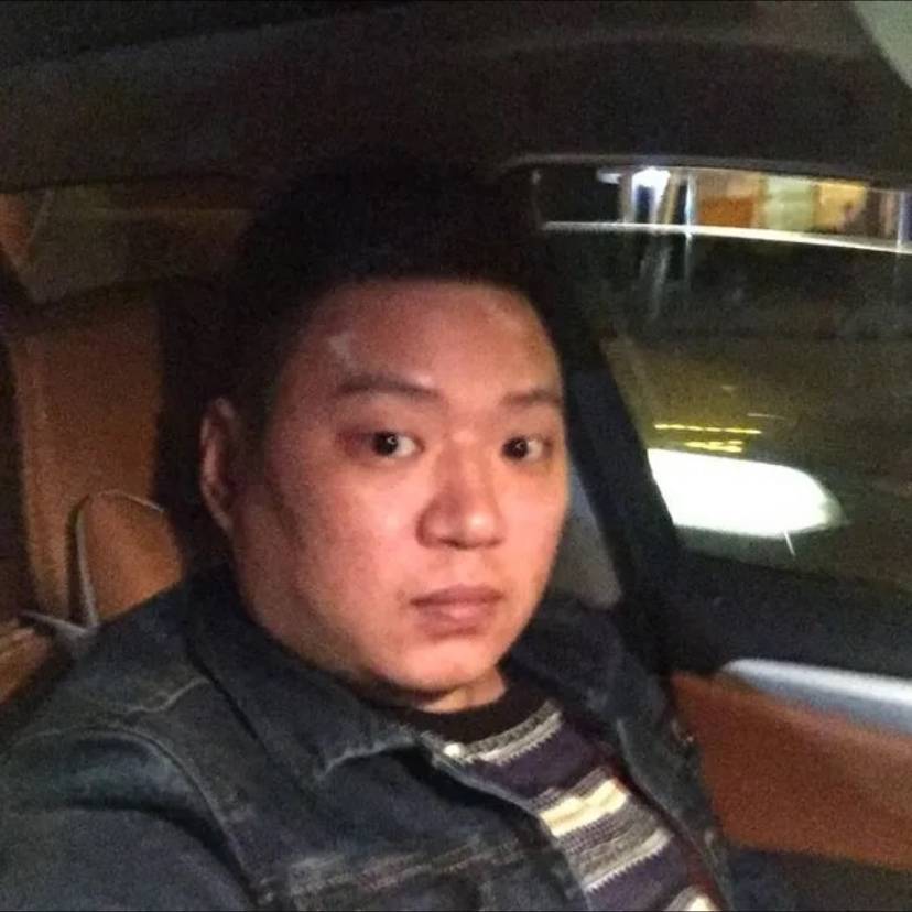 里皮的照片