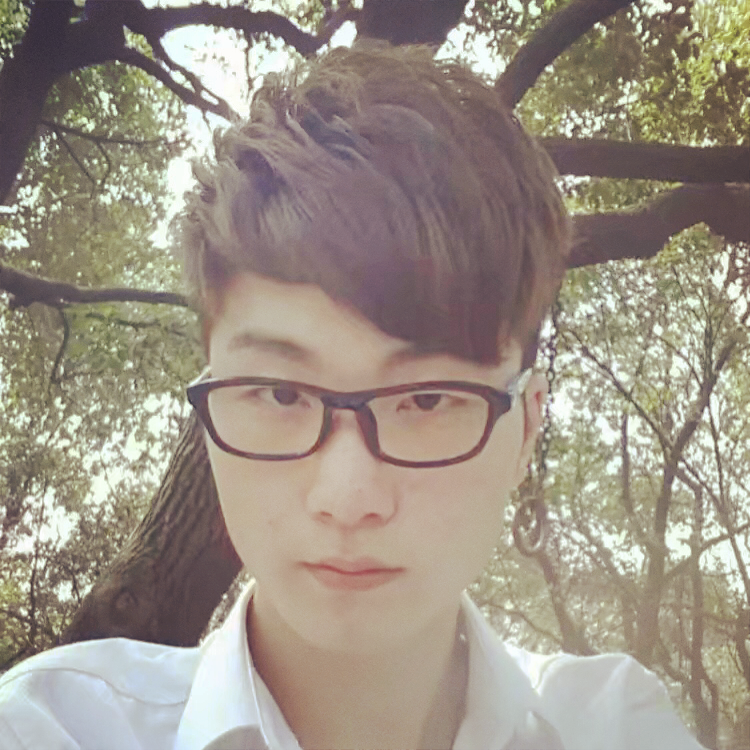 枫树叶子0的照片