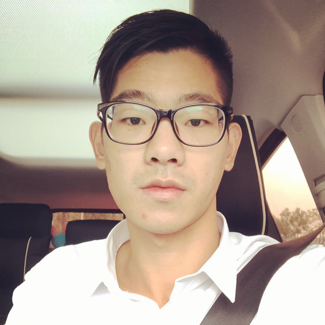 结实相许蓝天的照片