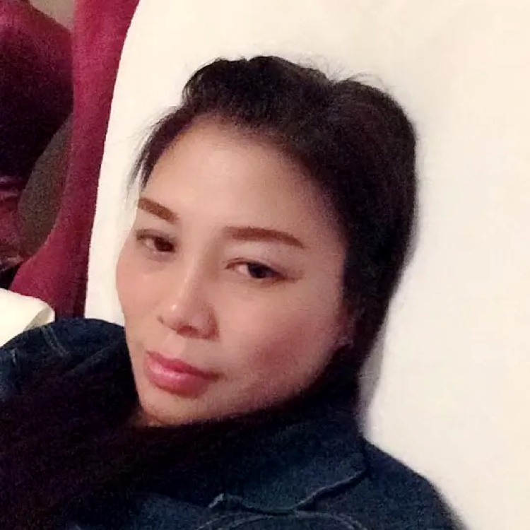 小白菜演变整齐的照片