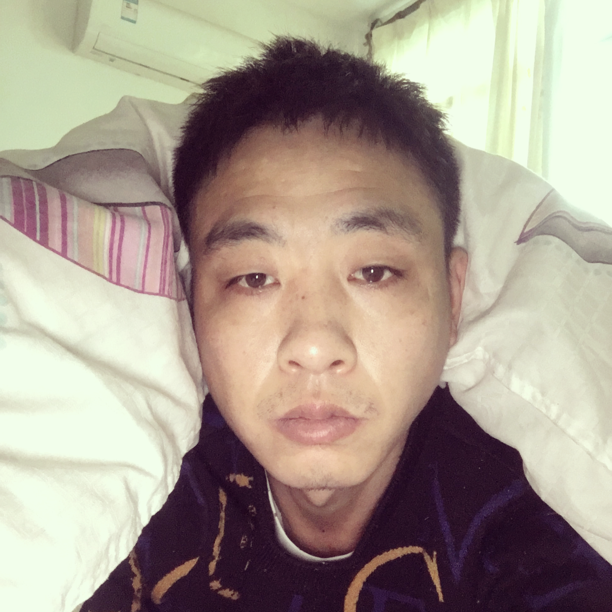 优美的忘忧的照片