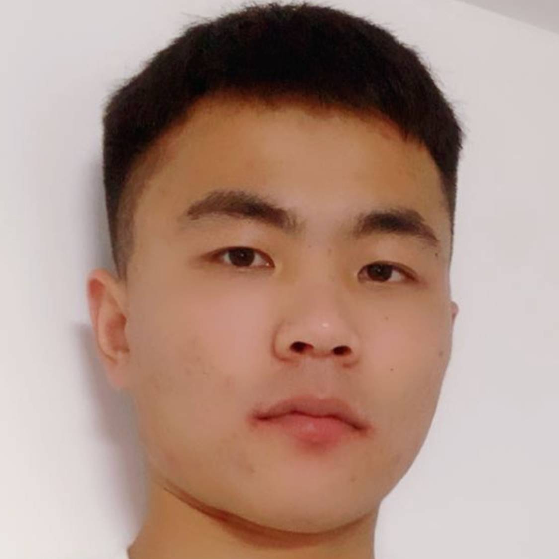 西瓜西瓜的照片