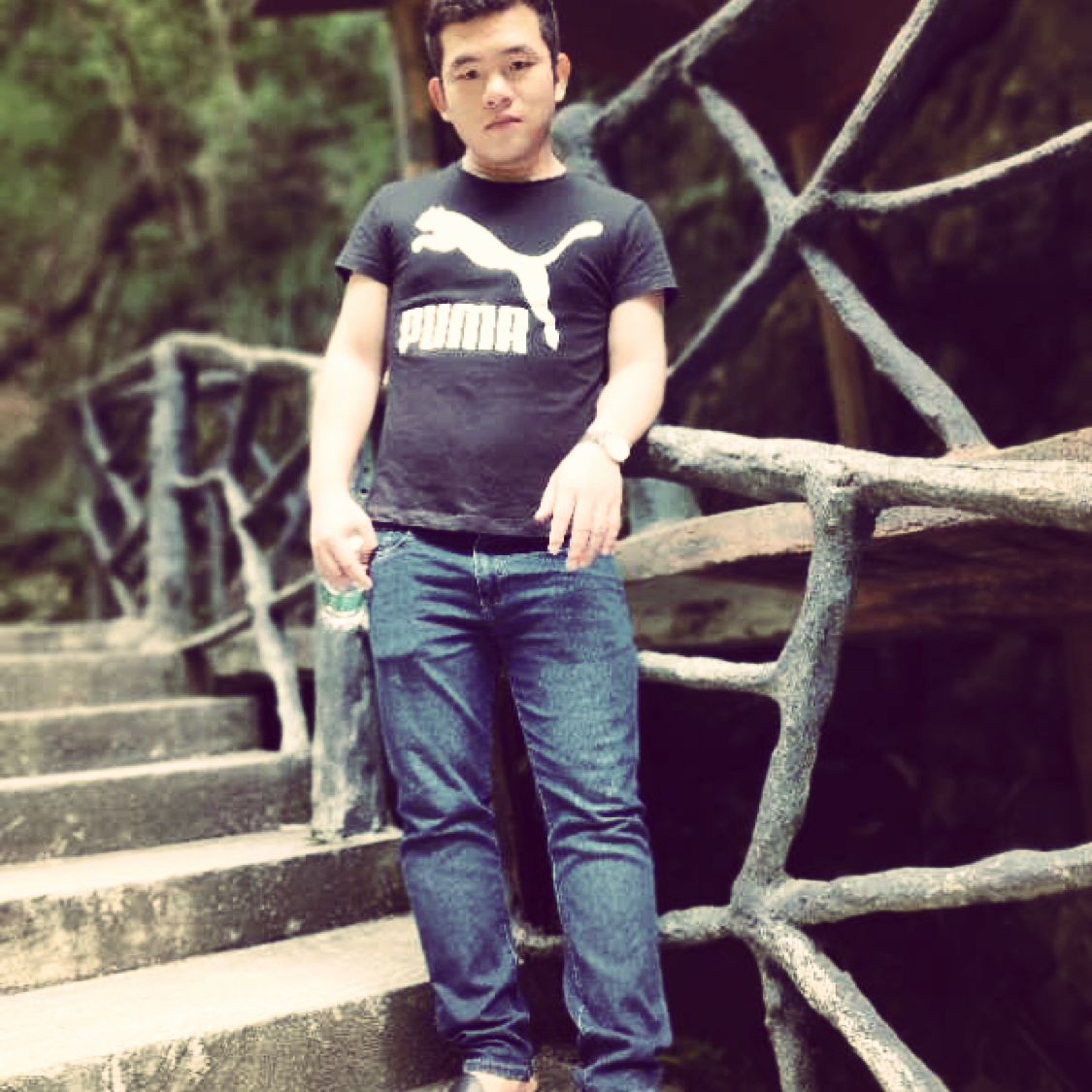 鸵鸟说害羞的照片