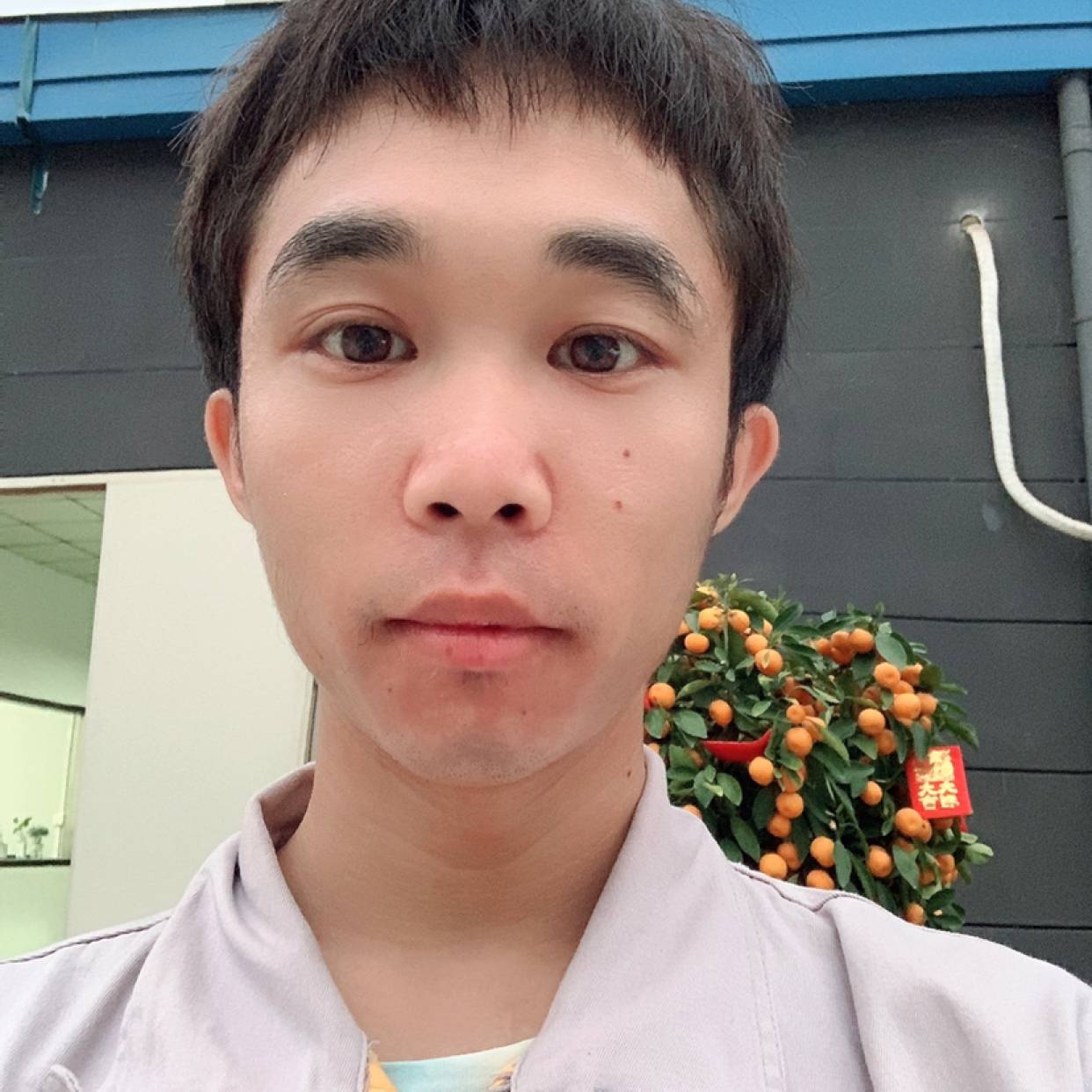 坦率深拥大雁的照片